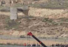 Un accidente con elefantes en la Autovía A-30 en Albacete 6