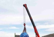 Un accidente con elefantes en la Autovía A-30 en Albacete 9