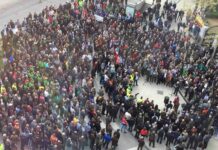 Miles de cazadores toman las calles de Castilla-La Mancha para reivindicar la caza 10 Miles de cazadores toman las calles de Castilla-La Mancha para reivindicar la caza 10