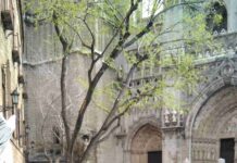 Miles de cazadores toman las calles de Castilla-La Mancha para reivindicar la caza 11 Miles de cazadores toman las calles de Castilla-La Mancha para reivindicar la caza 11