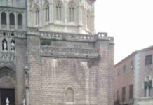 Miles de cazadores toman las calles de Castilla-La Mancha para reivindicar la caza 12 Miles de cazadores toman las calles de Castilla-La Mancha para reivindicar la caza 12