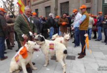 Miles de cazadores toman las calles de Castilla-La Mancha para reivindicar la caza 3 Miles de cazadores toman las calles de Castilla-La Mancha para reivindicar la caza 3