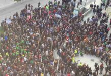 Miles de cazadores toman las calles de Castilla-La Mancha para reivindicar la caza 9 Miles de cazadores toman las calles de Castilla-La Mancha para reivindicar la caza 9