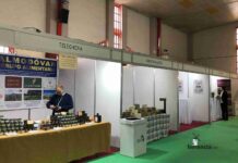 Caballero y García-Page visitan “Sabores del Quijote” en Herencia 13