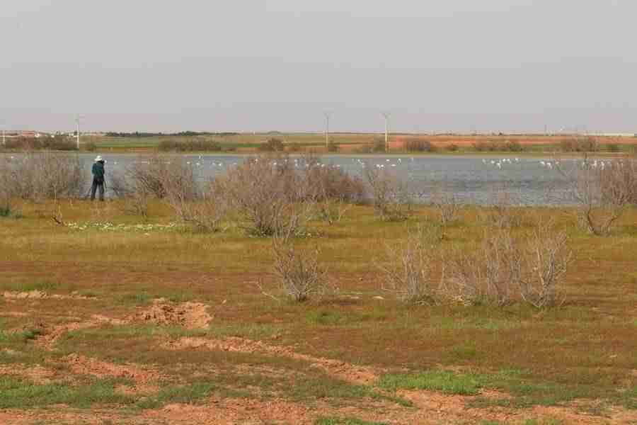 Las Jornadas sobre la Reserva de la Biosfera de la Mancha Húmeda aborda los problemas de mantenimiento y conservación 3 Las Jornadas sobre la Reserva de la Biosfera de la Mancha Húmeda aborda los problemas de mantenimiento y conservación 3