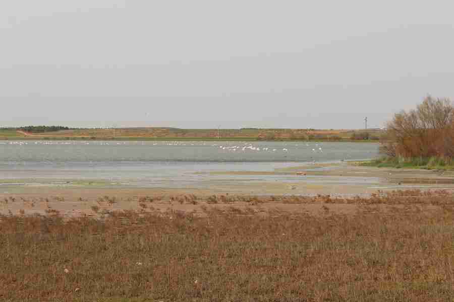 Las Jornadas sobre la Reserva de la Biosfera de la Mancha Húmeda aborda los problemas de mantenimiento y conservación 2