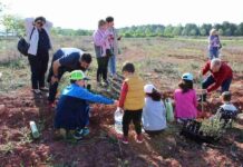 El Ayuntamiento de Alcázar pondrá en marcha el "Bosque de la Vida" 2