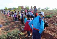 El Ayuntamiento de Alcázar pondrá en marcha el "Bosque de la Vida" 1