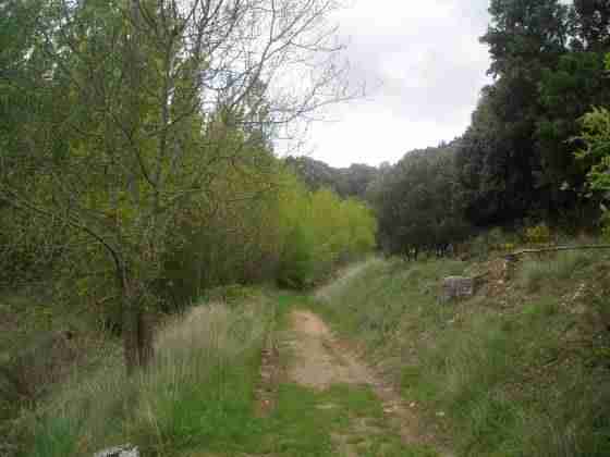 Tras las huellas del Cid Campeador, mito y realidad 22 Tras las huellas del Cid Campeador, mito y realidad 22