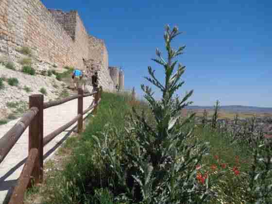 Tras las huellas del Cid Campeador, mito y realidad 20 Tras las huellas del Cid Campeador, mito y realidad 20