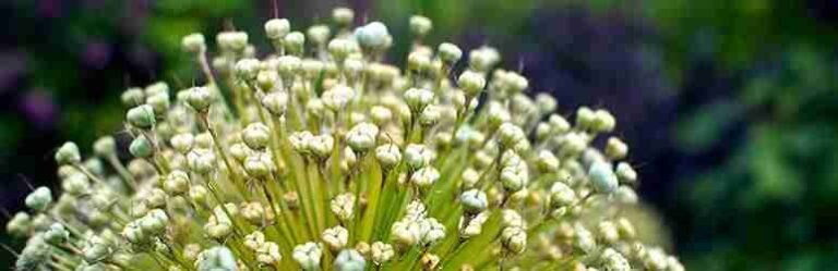 5 plugins para redirigir y registrar los errores 404