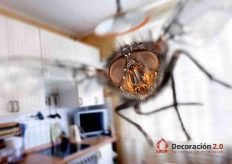 Cómo hacer un matamoscas casero con cosas de casa