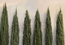 Alfombras y sofás que revolucionan los diseños y colores para darles volumen 4