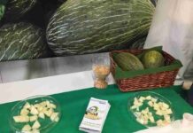 Alcázar de San Juan estuvo en el IV Feria Regional del Melón 2 Alcázar de San Juan estuvo en el IV Feria Regional del Melón 2