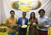 Alcázar de San Juan estuvo en el IV Feria Regional del Melón 6 Alcázar de San Juan estuvo en el IV Feria Regional del Melón 6