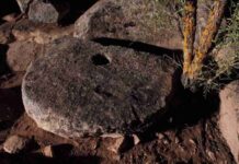 Los recursos turísticos de Alcázar se mostraron en todo su esplendor en la X Noche del Patrimonio 13 Los recursos turísticos de Alcázar se mostraron en todo su esplendor en la X Noche del Patrimonio 13