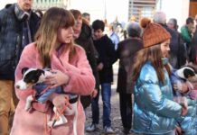 Alcázar celebró San Antón, el patrón de los animales 13