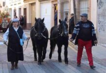 Alcázar celebró San Antón, el patrón de los animales 6