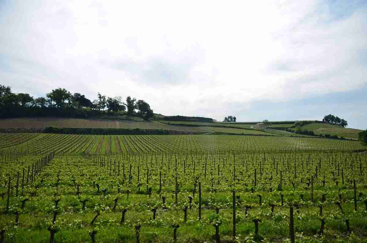 Visita Burdeos "la perla de Aquitania" 4