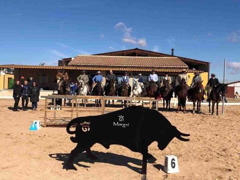 Celebrado el I Concurso Nacional y Territorial de Equitación