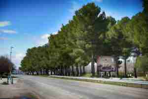 El ministerio de Industria, Comercio y Turismo incluye a Argamasilla de Alba en el Catálogo SISTHO 1