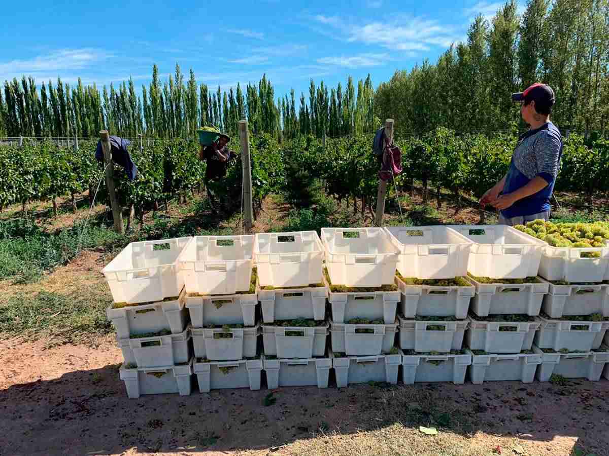 Ulterior, los vinos de tinaja de verum toman posición en concursos internacionales 2 Ulterior, los vinos de tinaja de verum toman posición en concursos internacionales 2