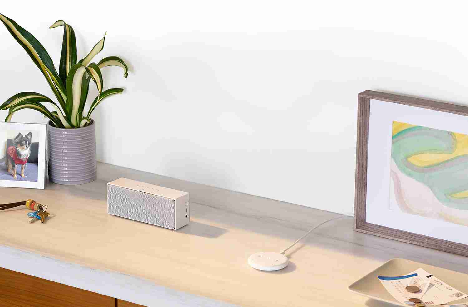¿Qué altavoz inteligente Echo elijo para regalar por el Día del Padre? 31