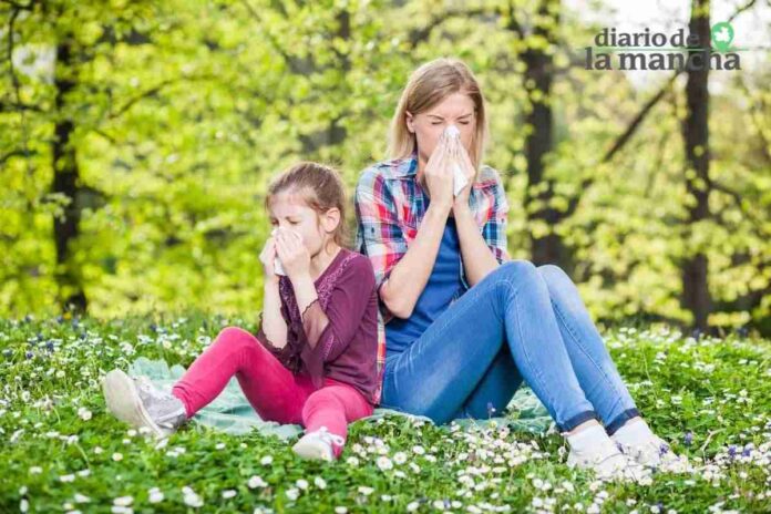 polen-alergias-castilla-la-mancha.jpg