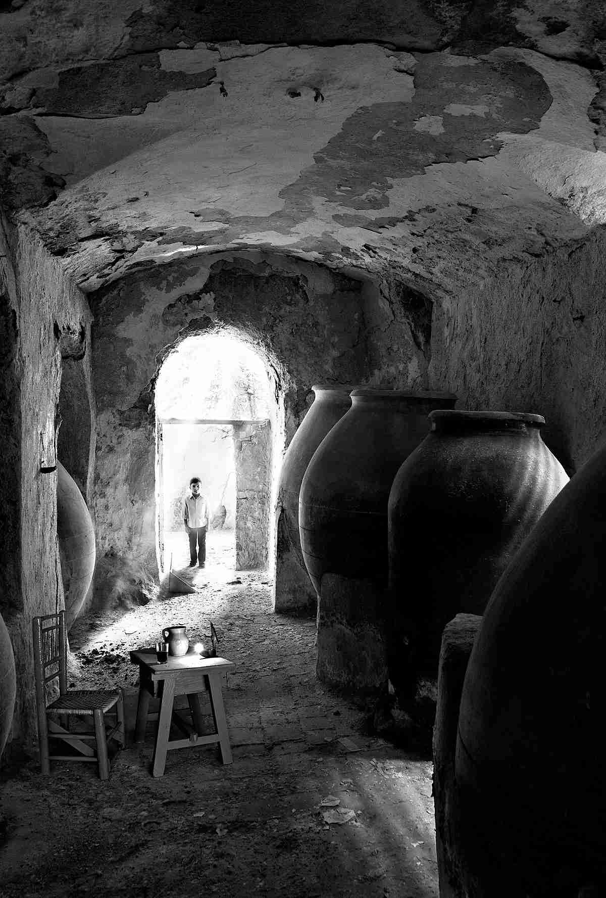 La valdepeñera Irene Caminero López se proclama ganadora del II Concurso de Fotografía de FENAVIN 1
