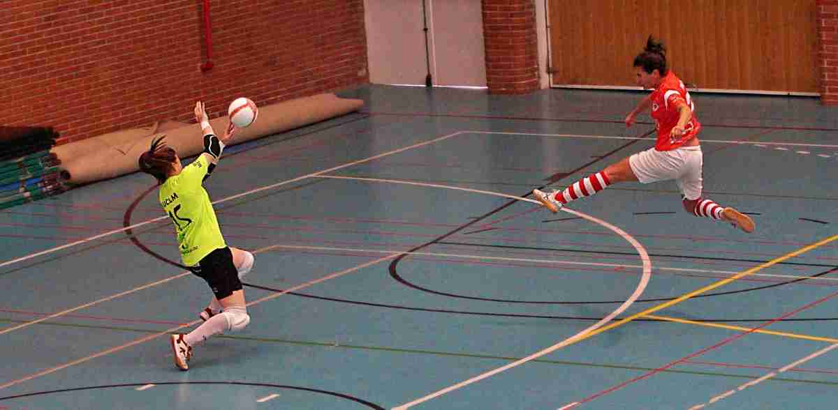 30ª Jornada de Segunda División Grupo IV de Fútbol Sala Femenino entre Colmenarejo -Almagro FSF 1