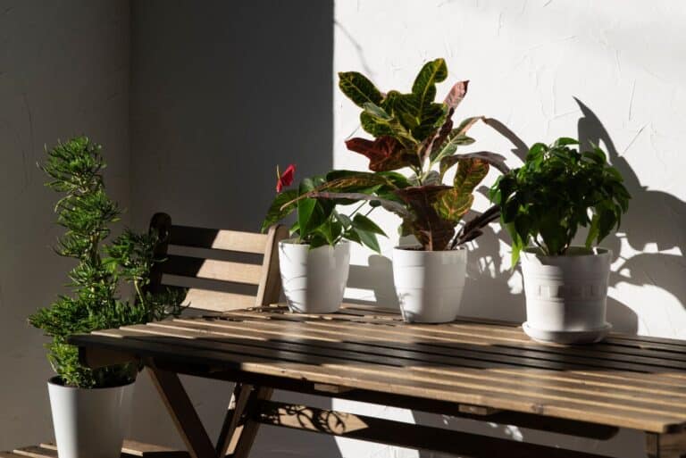 Inspiración para decorar la terraza y disfrutar el verano