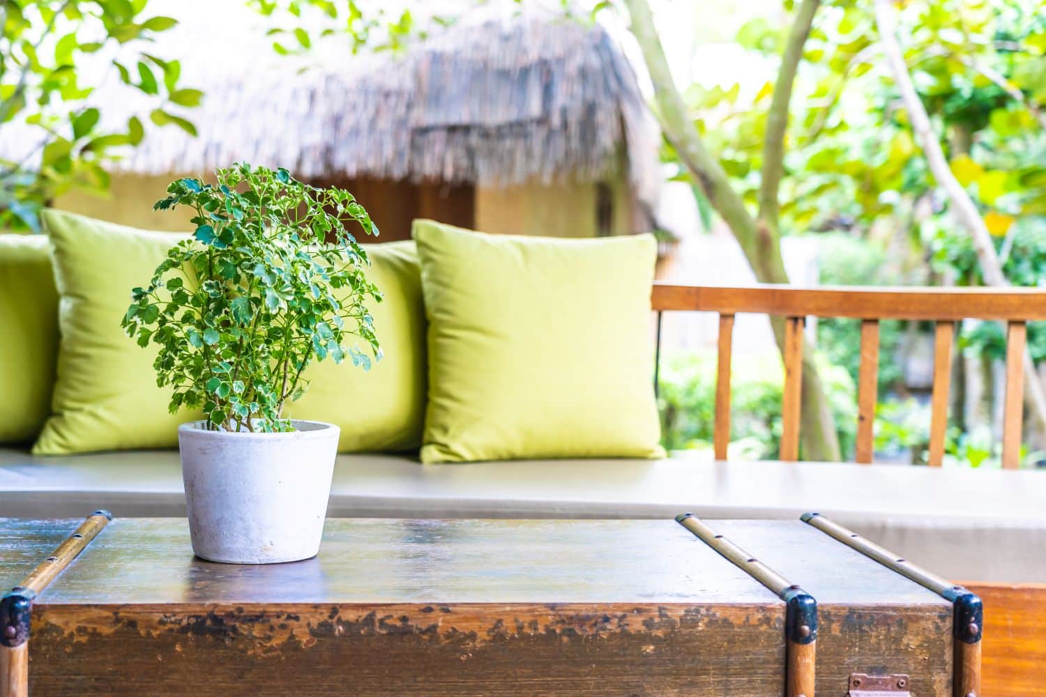 Inspiración para decorar la terraza y disfrutar el verano 1