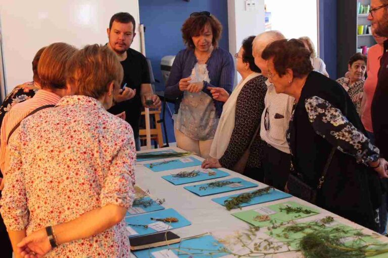 Los mayores aprenden y comparten conocimientos botánicos sobre las plantas autóctonas