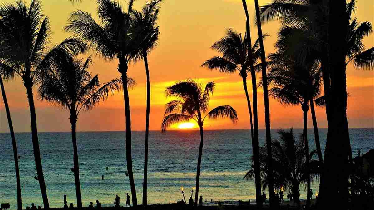 Escapada a Hawaii para unas vacaciones llenas de mar y sol 4