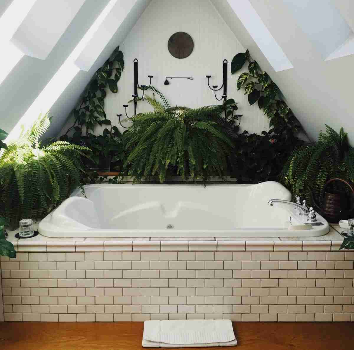 Decorar baños con plantas que son fáciles de mantener 5