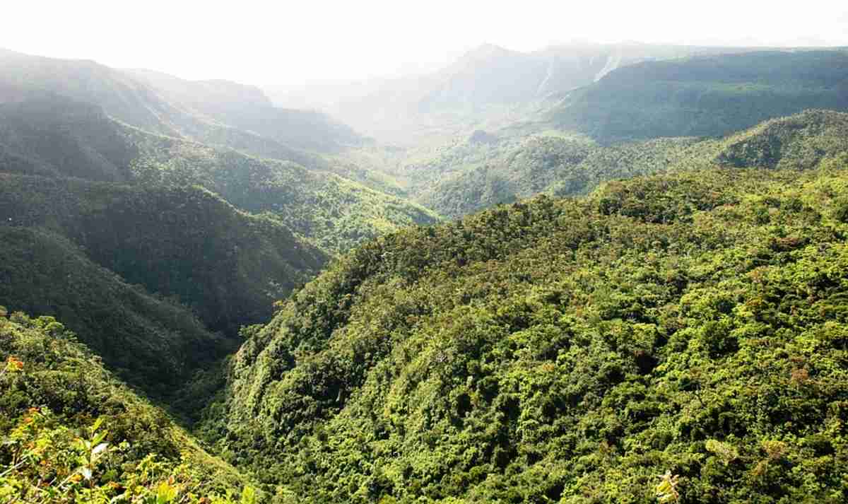 Isla de Mauricio el paraíso en el Océano Índico para tu viaje de verano 4 Isla de Mauricio el paraíso en el Océano Índico para tu viaje de verano 4