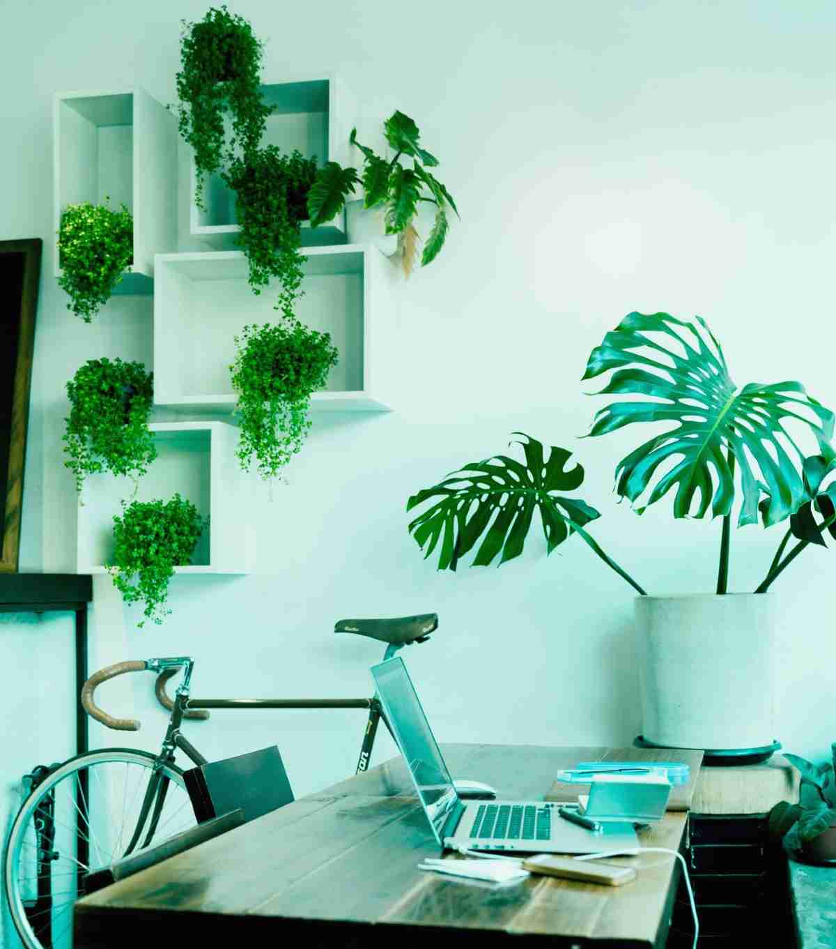 Decorar tus paredes con originales ideas de jardines verticales 7