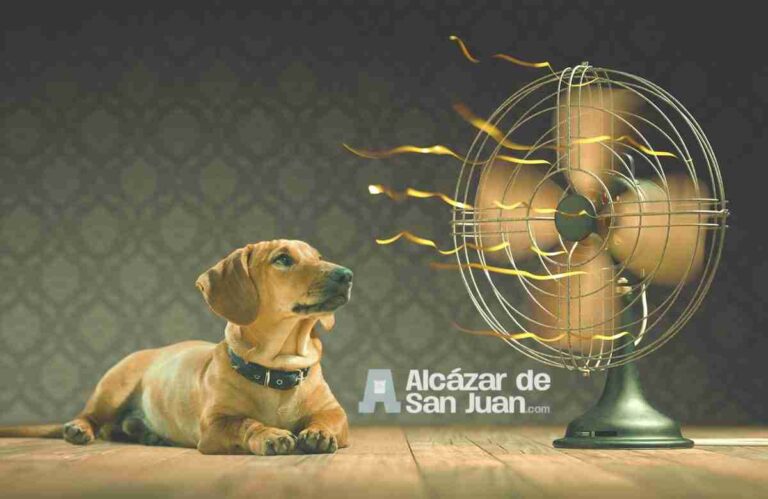 Recomendaciones de autoprotección ante una ola de calor en Alcázar de San Juan