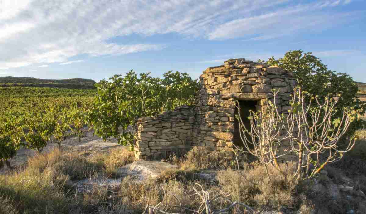 Bodegas Valdemar presenta La Recaja una selección exclusiva de 1.581 botellas de su último vino de parcela 1