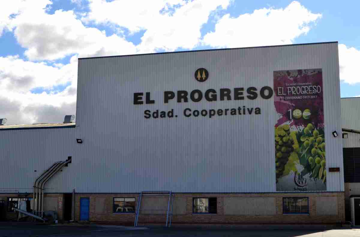 A mediados de la próxima semana Cooperativa El Progreso de Villarrubia de los Ojos iniciará la vendimia 1