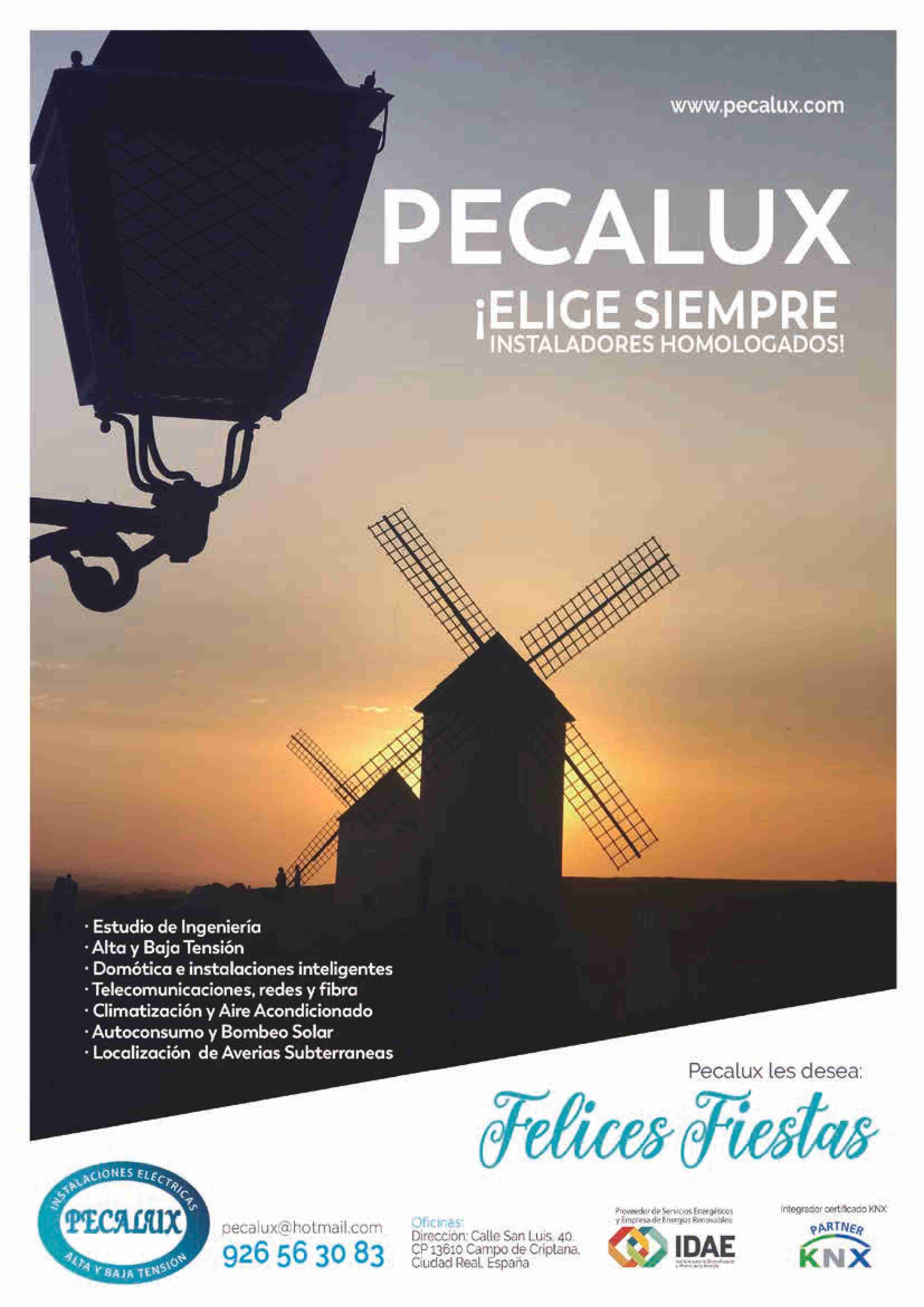 Campo de Criptana se prepara para una Feria y Fiestas repletas de novedades 50