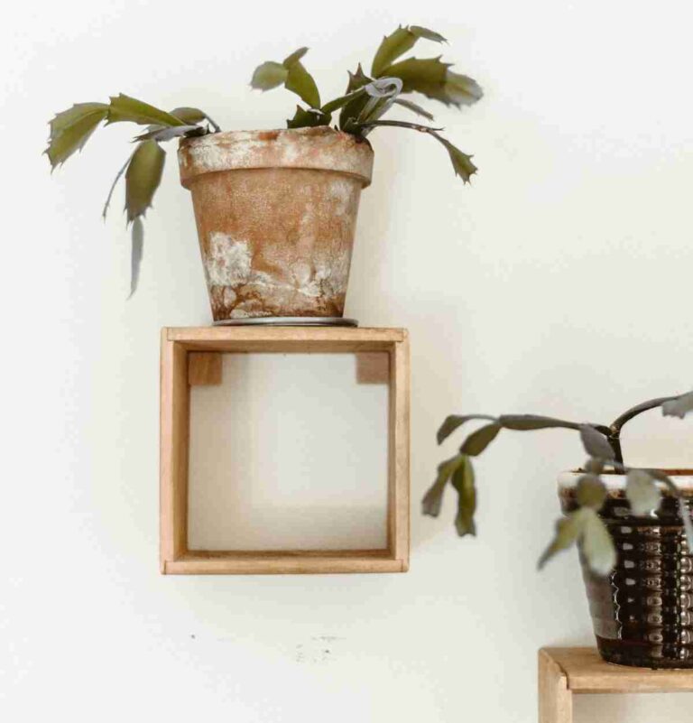 Decorar con plantas el salón con estas seis ideas ¡fantáticas!