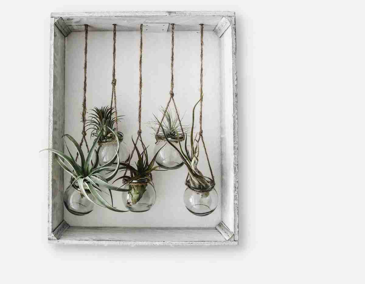 Decorar con plantas el salón con estas seis ideas ¡fantáticas! 4 Decorar con plantas el salón con estas seis ideas ¡fantáticas! 4