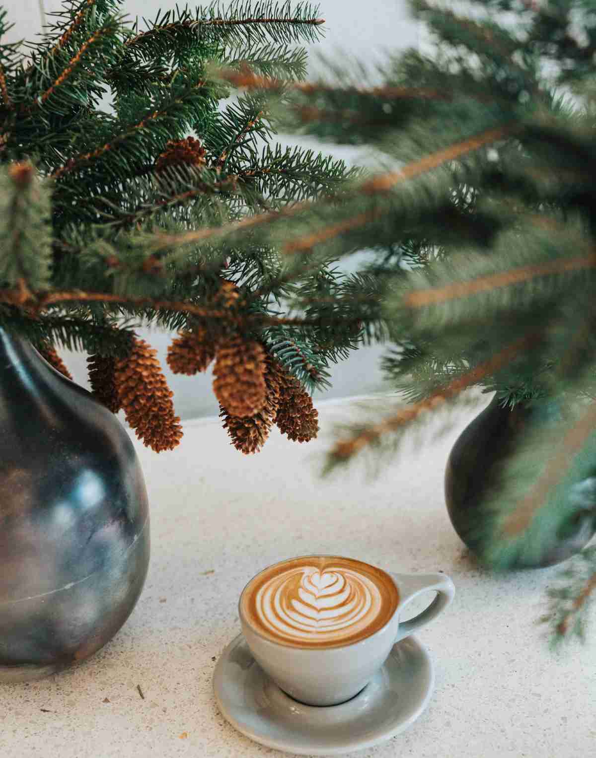 decoración_navideña_con_piñas
