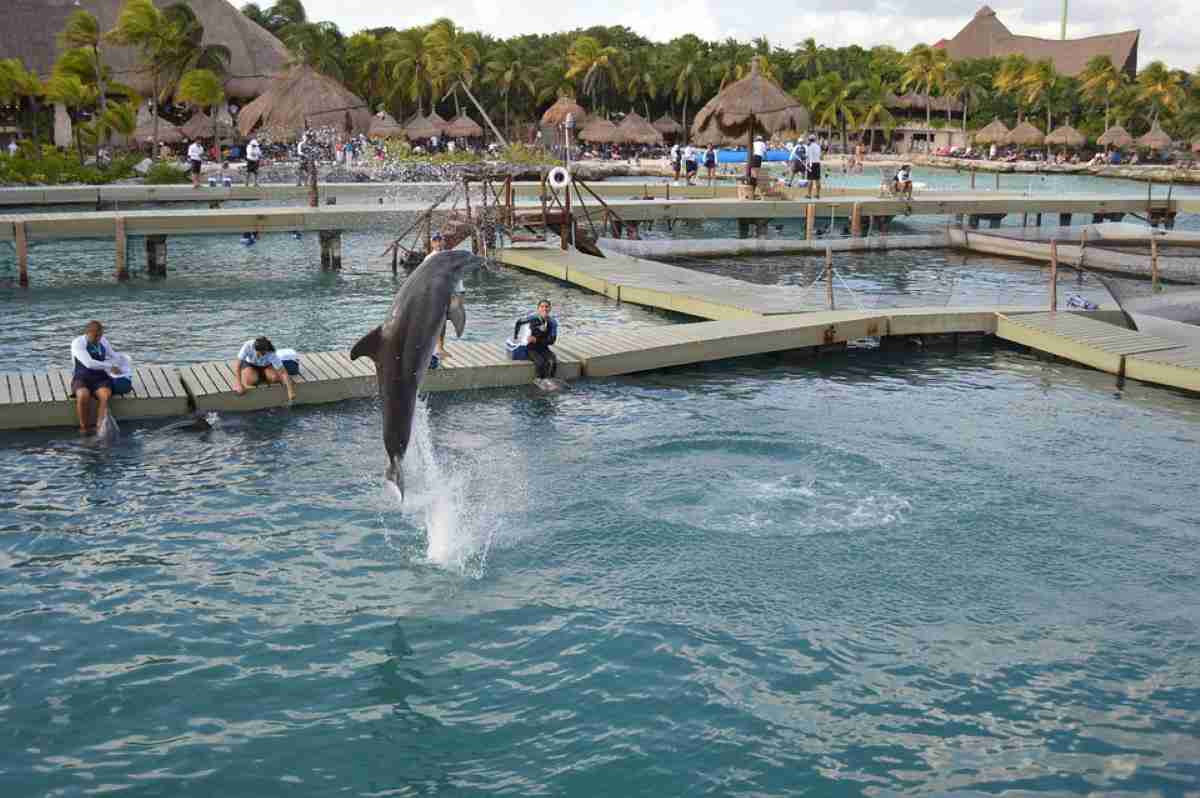 Parque temático Xcaret en la Rivera Maya para tus vacaciones 5