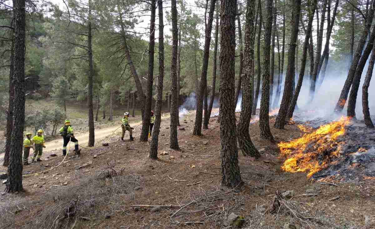 Se prohíbe temporalmente la quema de restos vegetales en el medio natural 1 se_prohibe_quema_de_restos_vegetales-CLM