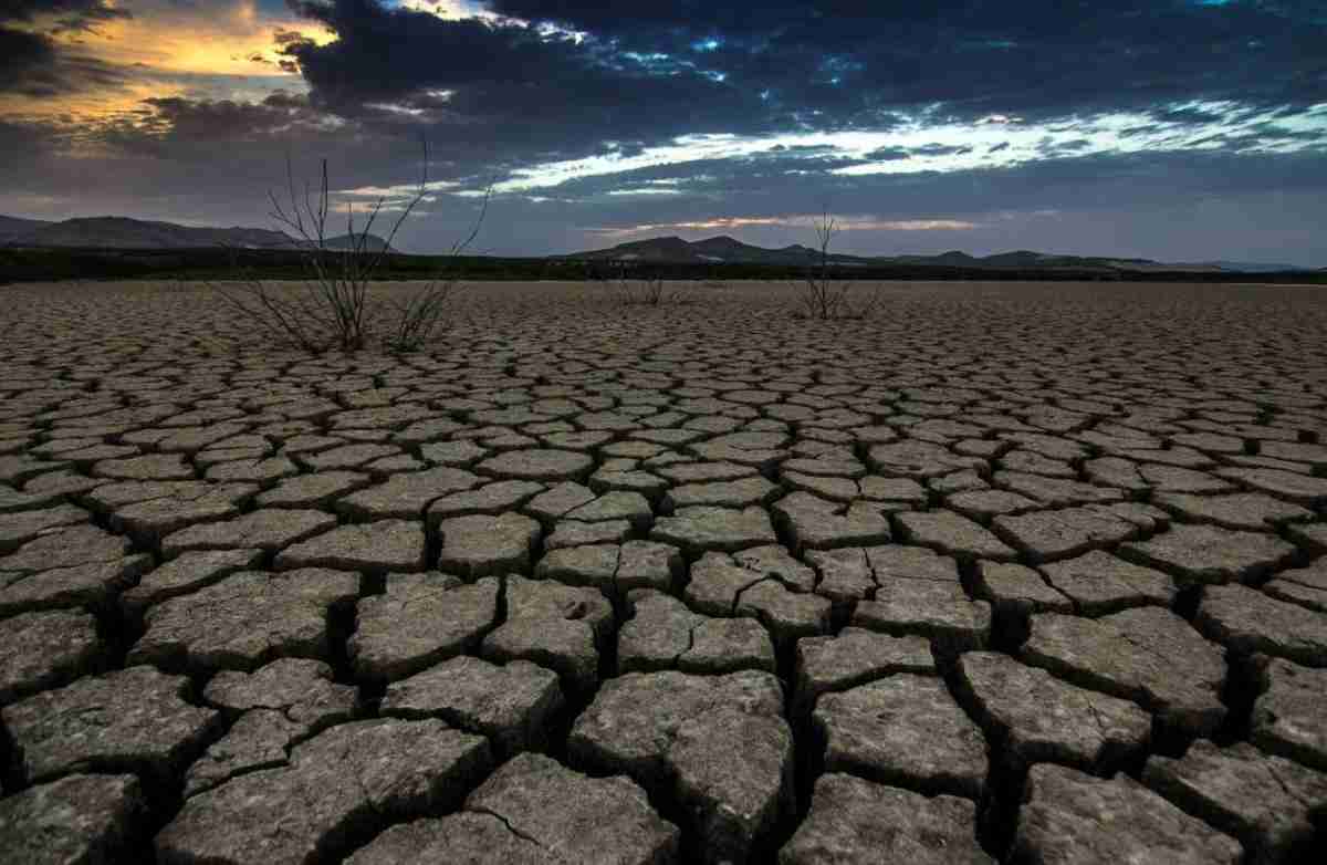 1 premio concurso de fotografia dia mundial de los humedales