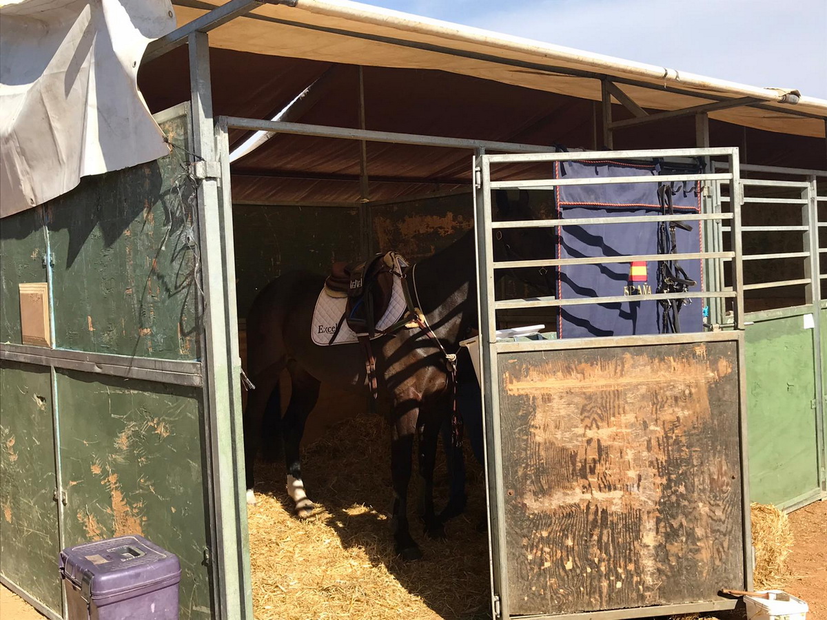 El Campeón de España en Concurso Completo de Equitación será elegido este fin de semana en Tomelloso 1 El Campeón de España en Concurso Completo de Equitación será elegido este fin de semana en Tomelloso 1