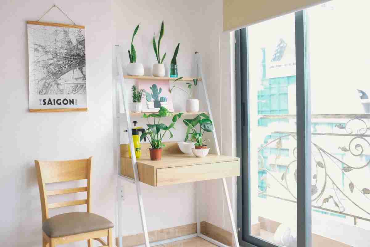 Ideas para colocar plantas de interior en casa 3 Ideas para colocar plantas de interior en casa 3