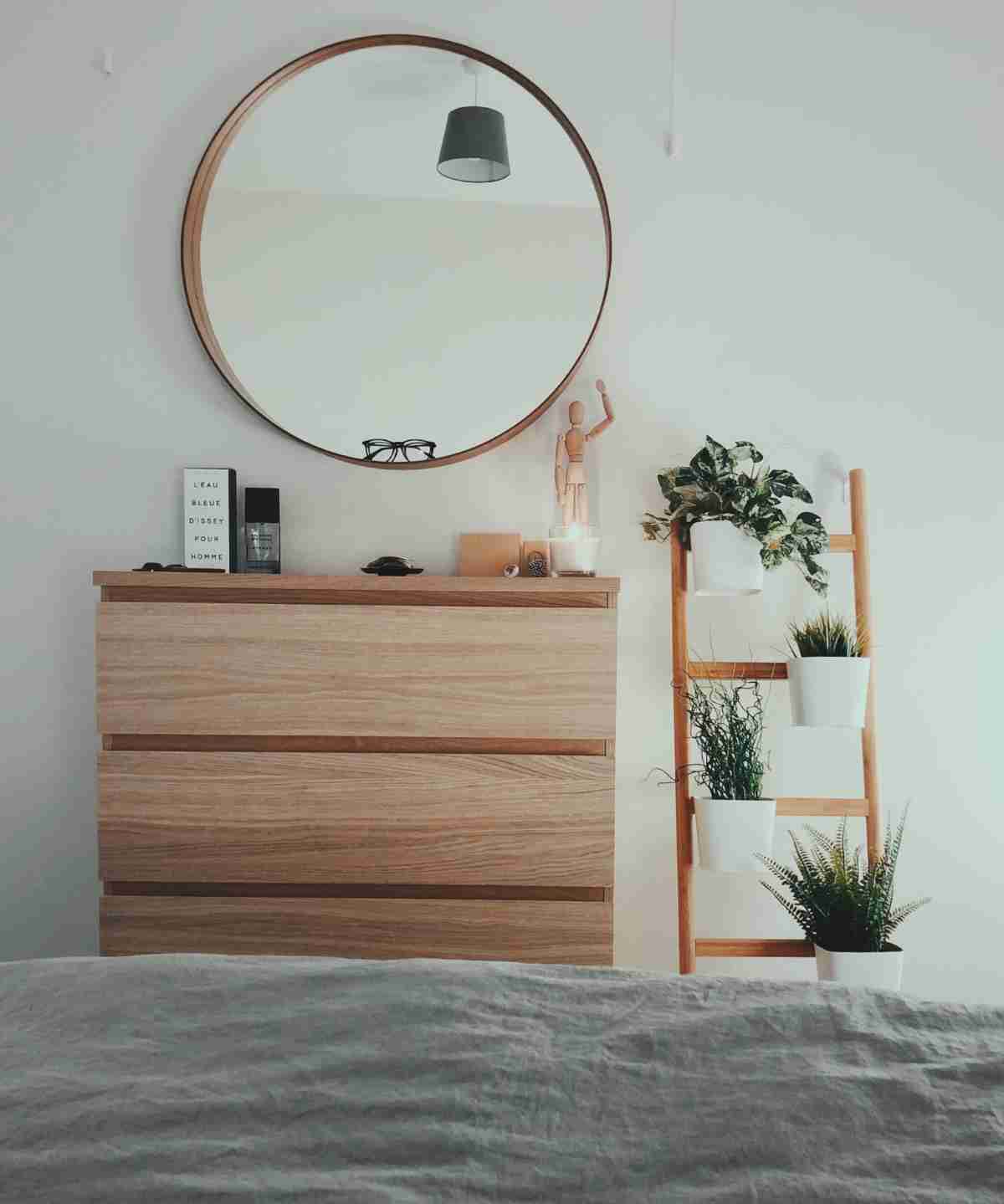 Ideas para colocar plantas de interior en casa 2 Ideas para colocar plantas de interior en casa 2